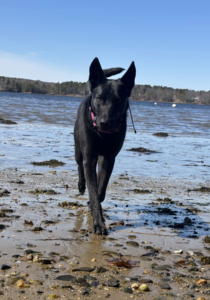 Elsa pic 1_1000px