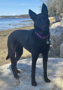 Elsa pic 3_1000px